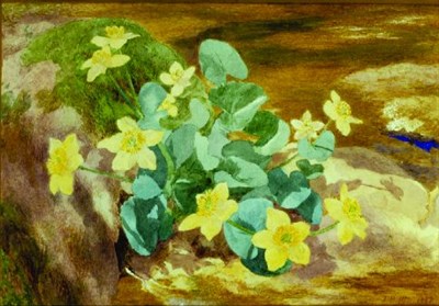 Lot 178 - John Henry Hill 1839-1922 BED OF FLOWERS...