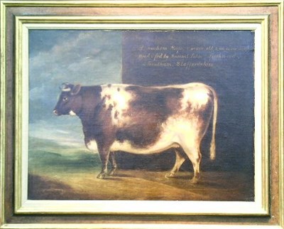Lot 95 - British School 19th Century HEIFER Oil on...