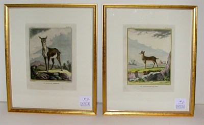 Lot 87 - After De Seve L'ANTILOPE FEMELLE and LE...