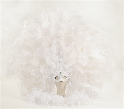 Lot 3790 - Costume White Ostrich Feather Headdress White...