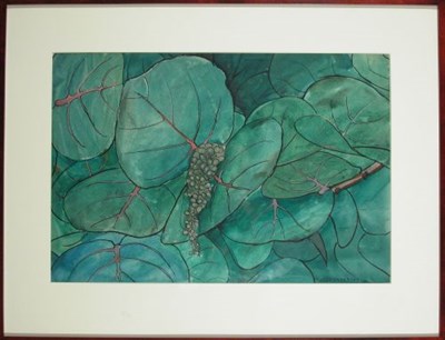 Lot 51 - Jane Peterson American, 1876-1965 TROPICAL...