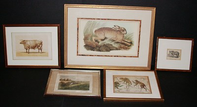 Lot 131 - After Samuel Howitt HARE RUNNING and [HARE IN...