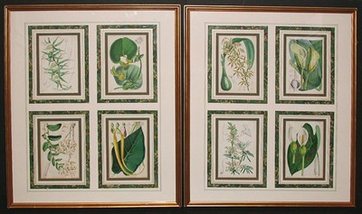 Lot 105 - Walter Fitch [FLORAL STUDIES] Eight...