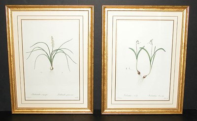 Lot 114 - After P. J. Redoute GALANTHUS NIVALIS and...