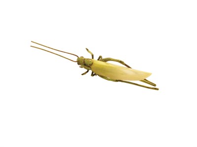 Lot 3006 - Austrian Cricket Brooch Austria, circa 1910...