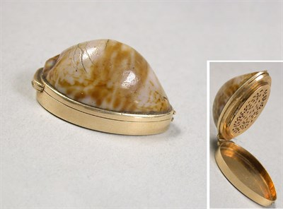 Lot 260 - Snail Shell Snuff Box