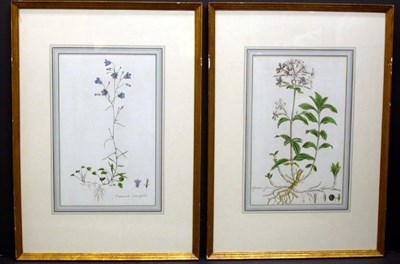 Lot 93 - Artist Unknown [FLOWER STUDIES] Four...