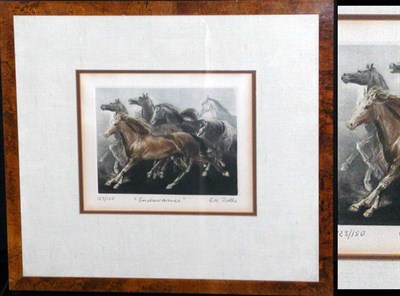 Lot 102 - G. H. Rothe ENDURANCE Color mezzotint, signed,...