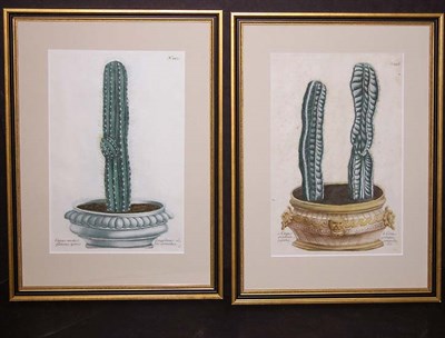 Lot 82 - After Johann Weinmann [CACTUS STUDIES] Two...