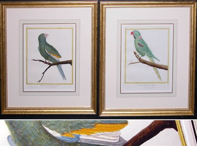 Lot 99 - Francois Martinet PETITE PERRUCHE VERTE DE...