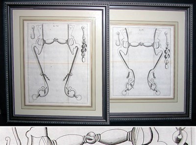 Lot 71 - After George Simon Winter [HORSE BIT STUDIES]...