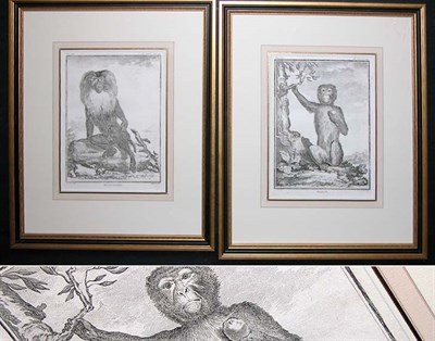 Lot 80 - After De Seve OUANDOROU and MAGOT Two...