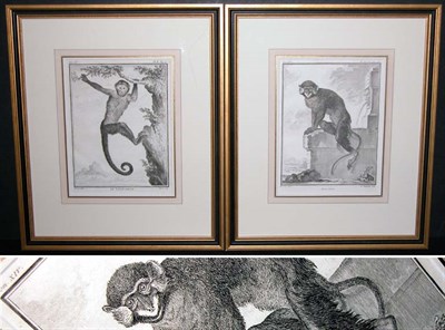 Lot 90 - After De Seve LE SAJOU BRUN and MOUSTAC Two...