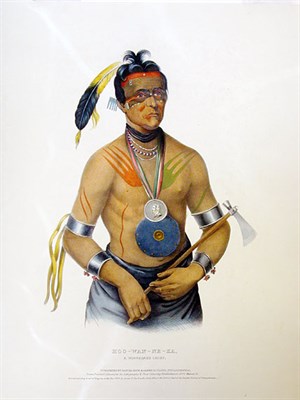 Lot 2056 - McKenney & Hall HOO-WAN-NE-KA Hand-colored...