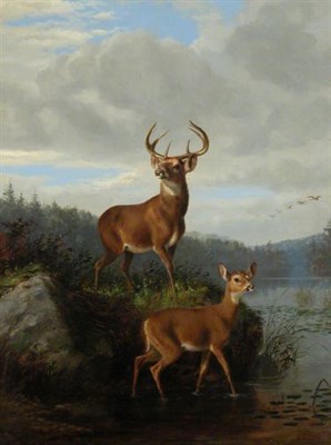 Lot 199 - Arthur Fitzwilliam Tait 1819-1905 BUCK AND DOE...