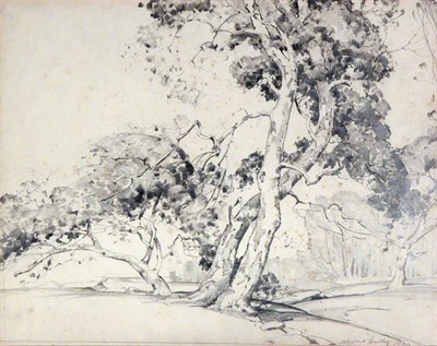 Lot 1223 - Alfred Hutty OLD SYCAMORES Pencil on paper,...