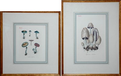 Lot 94 - Artist Unknown [MUSHROOM STUDIES] Two...