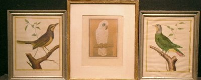 Lot 2031 - French School Early 20th century PARROT ON A...