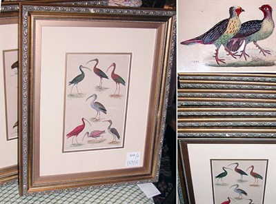 Lot 2081 - Artist Unknown [BIRD STUDIES] Thirteen...