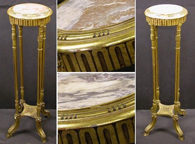 Lot 333 - Pair of Louis XVI Style Gilt-Wood Plant Stands