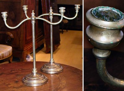 Lot 384 - Pair of Georgian Style Brass Two-Light Candelabra