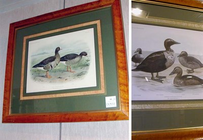 Lot 93 - After M. A. Koekkoek [DUCK STUDIES] Two color...