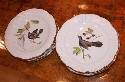 Lot 515 - Eight Royal Worcester Porcelain Bird Decorated...