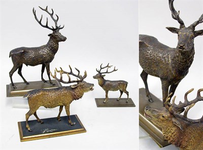Lot 2630 - Group of Three Cold Painted Bronzes of Deer...