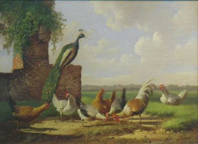 Lot 93 - Albertus Verhoesen Dutch, 1806-1881 A PEACOCK...