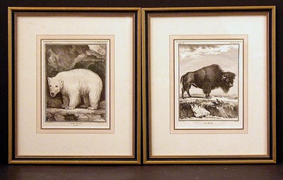 Lot 2080 - After De Seve L'OURS BLANC TERRESTRE and LE...