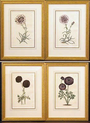 Lot 2077 - After E. D. Smith [FLOWER STUDIES Four...