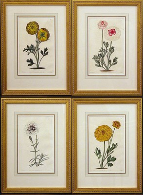 Lot 2092 - After E. D. Smith [FLOWER STUDIES Four...