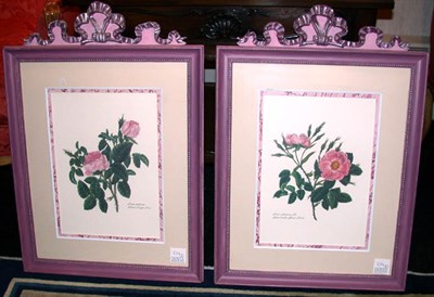 Lot 2116 - Artist Unknown [ROSE STUDIES] Two color...