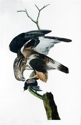 Lot 2051 - After John James Audubon ROUGH-LEGGED FALCON...