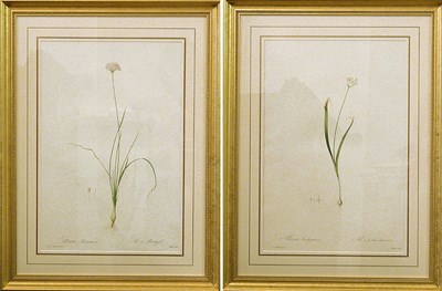 Lot 94 - After P. J. Redoute ALLIUM LUSITANICUM... and...