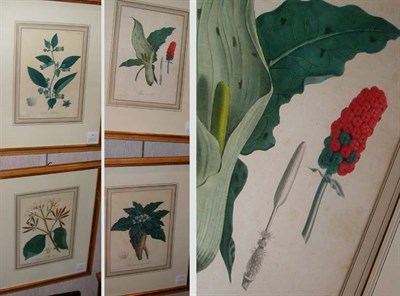 Lot 109 - Hocquart [FLOWER STUDIES] Four hand-colored...