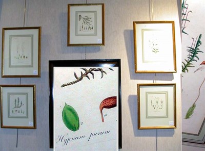 Lot 105 - Artist Unknown [FLOWER STUDIES] Five...