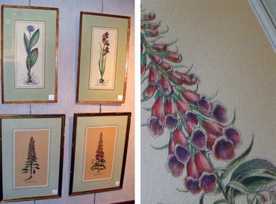Lot 78 - Artist Unknown [FLOWER STUDIES] Four...