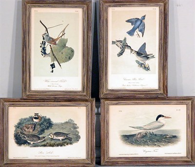 Lot 2057 - After John James Audubon COMMON BLUE BIRD;...