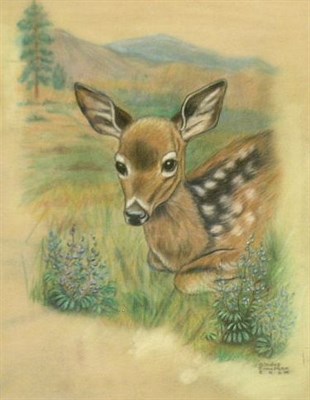 Lot 19 - Gladys Emerson Cook American, 1899-1976 ANIMAL...