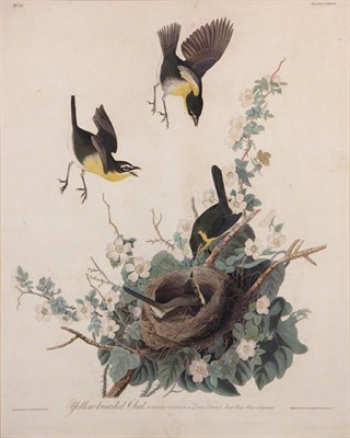 Lot 2049 - After John James Audubon YELLOW-BREASTED CHAT...