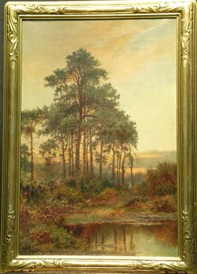 Lot 51 - Daniel Sherrin British, 1868-1940 PINEWOODS,...