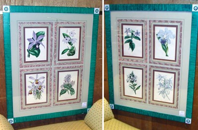 Lot 3281 - After S. Holden [FLOWER STUDIES] Eight...