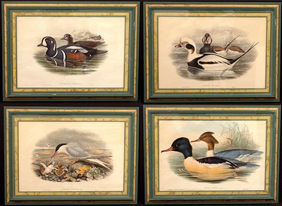 Lot 97A - J. Gould & H.C. Richter [BIRDS] Four color...
