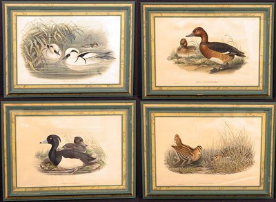 Lot 103A - J. Gould & H. C. Richter [BIRDS] Four color...
