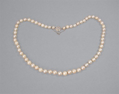 Lot 175 - Cultured Pearl Necklace