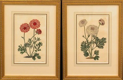 Lot 80 - After E. D. Smith [FLOWER STUDIES] Two...
