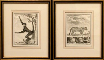Lot 89 - After Jacques de Seve LE JAGUAR DE LA NOUVELLE...