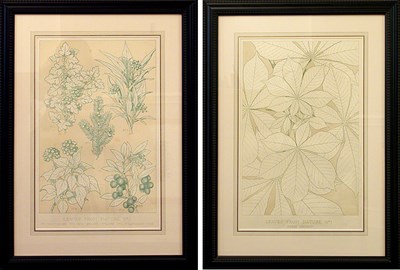 Lot 77 - Owen Jones LEAVES FROM NATURE NO. 1 and LEAVES...