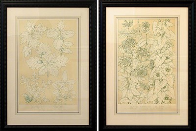 Lot 97 - Owen Jones LEAVES FROM NATURE NO. 5 and LEAVES...